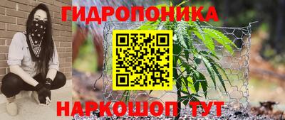 PSILOCYBIN Азнакаево