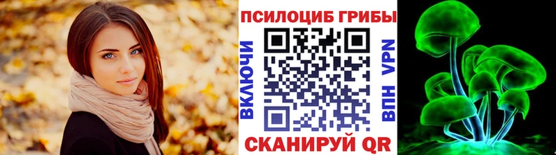 Галлюциногенные грибы ЛСД  нарко площадка состав  Александров 