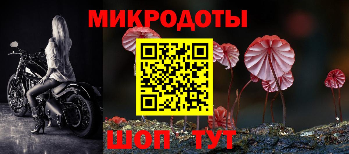 Галлюциногенные грибы Psilocybine cubensis  Галлюциногенные грибы Psilocybine cubensis  Александров 