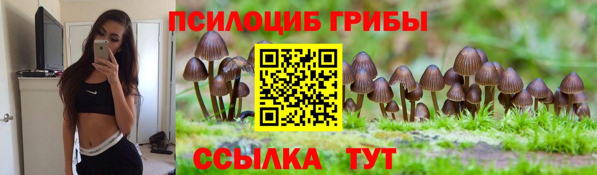 Галлюциногенные грибы Cubensis Александров