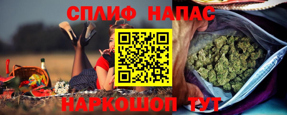 Марихуана сатива Александров